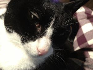 What I opened my eyes to, so cute!