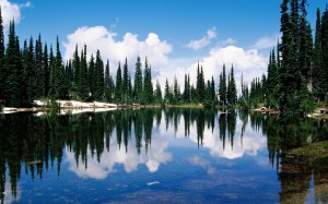 Lookin' pretty good for 146 years old!