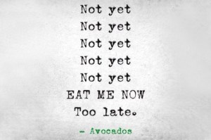 avocados...can't trust em!