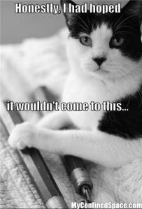 what would happen if my cat didn't get his share of tuna...