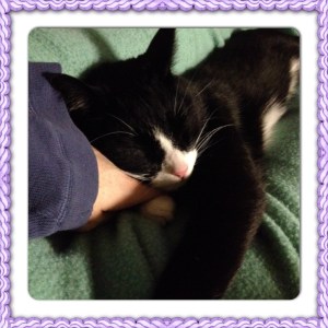 he kept having bad dreams and for a while insisted on using my hand as a pillow