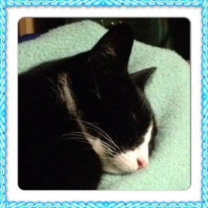 ahhh finally a restful sleep