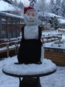 Gotta love a snowman!