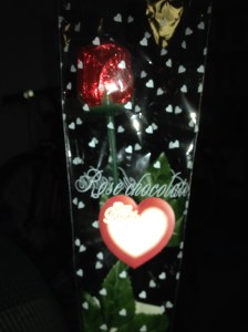 my surprise valentine present