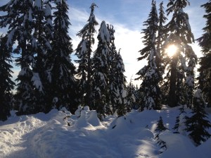 while snowshoeing, gorgeous!