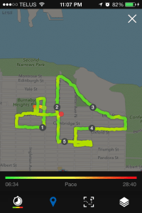 the route the dog chose