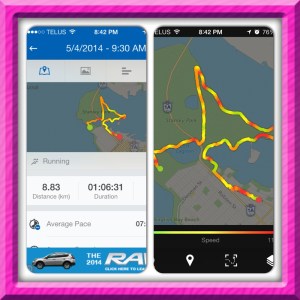 what my Runtastic App tracked