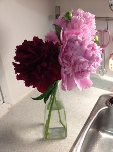 large, pretty and nameless lol