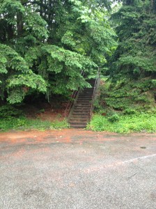 Spooky stairs all over the place leading to who knows where...