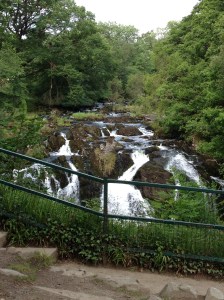 The view from the bench, I could have sat there for hours.