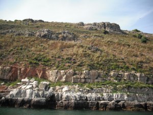 those little dots are birds, lots and lots of birds