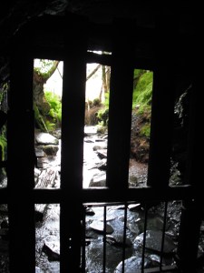 The little part at the bottom, with the smaller bars, that opens and you crawl through.