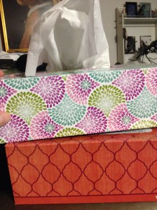 The all important Kleenex