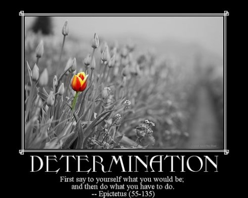 Determination-1