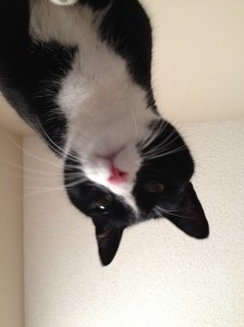 This is what I woke up to my first morning at my parent's place.