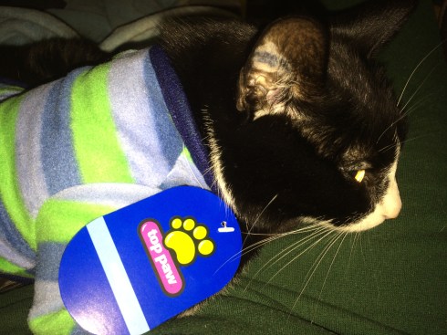 2015-12-10 00.18.24.jpg