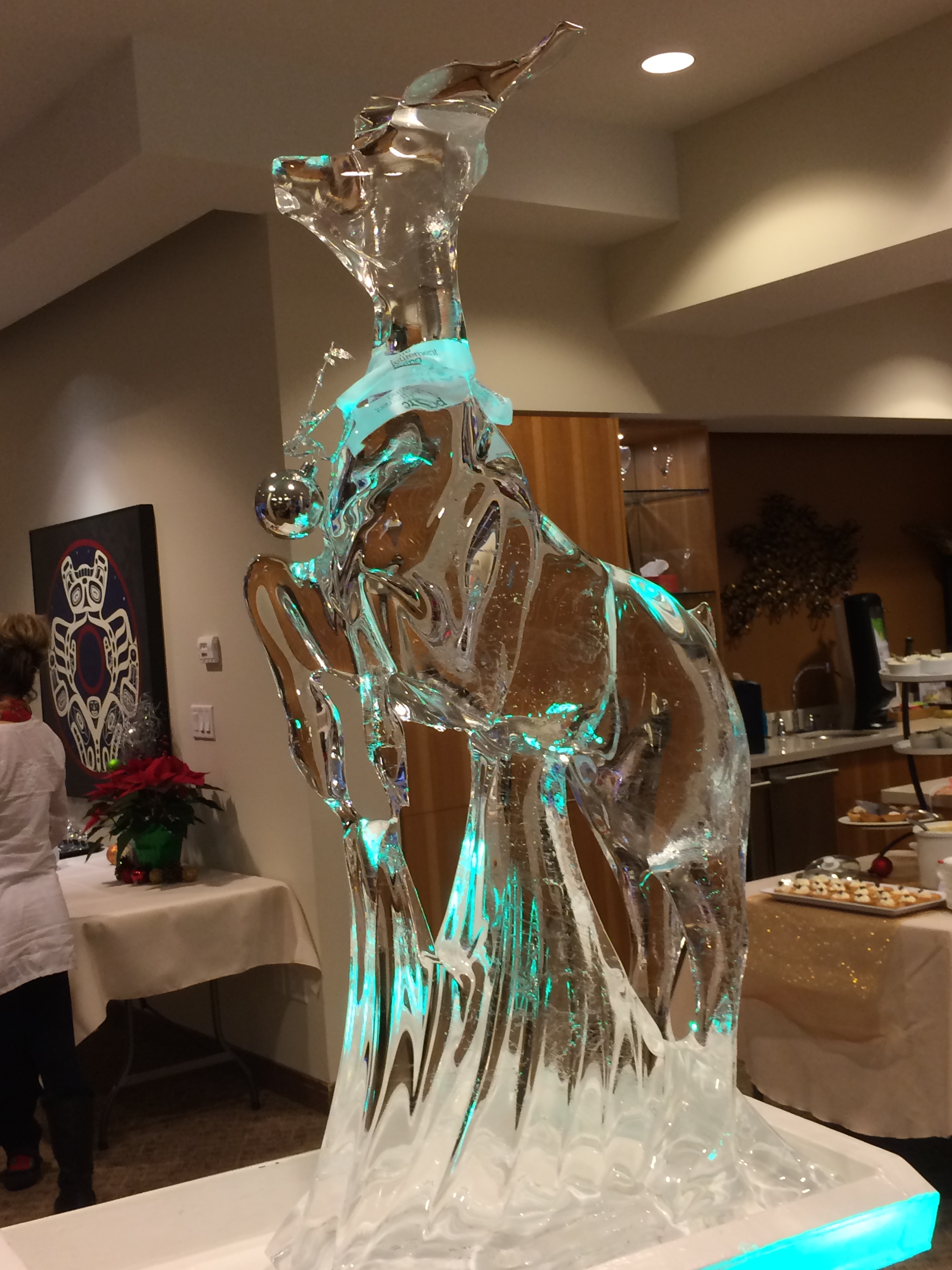 2015-12-13 15.15.25.jpg