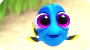 baby dory