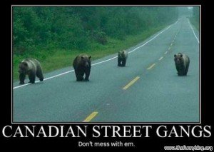 canadian gangs