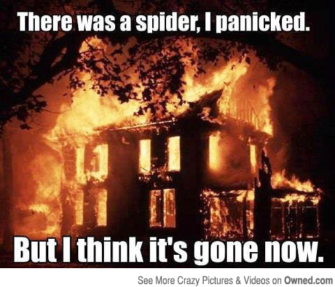 there_was_a_spider_540