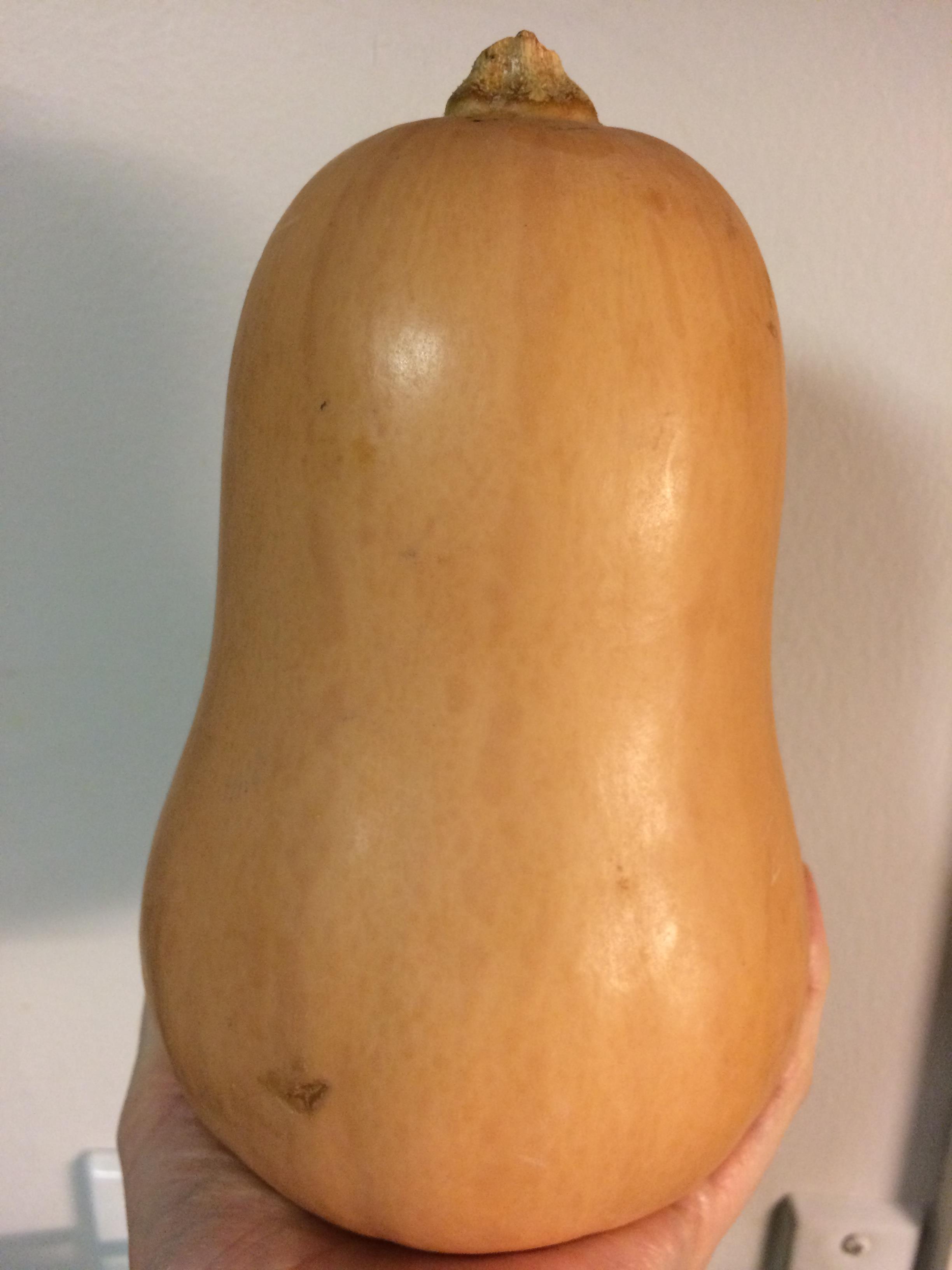 butternut squash