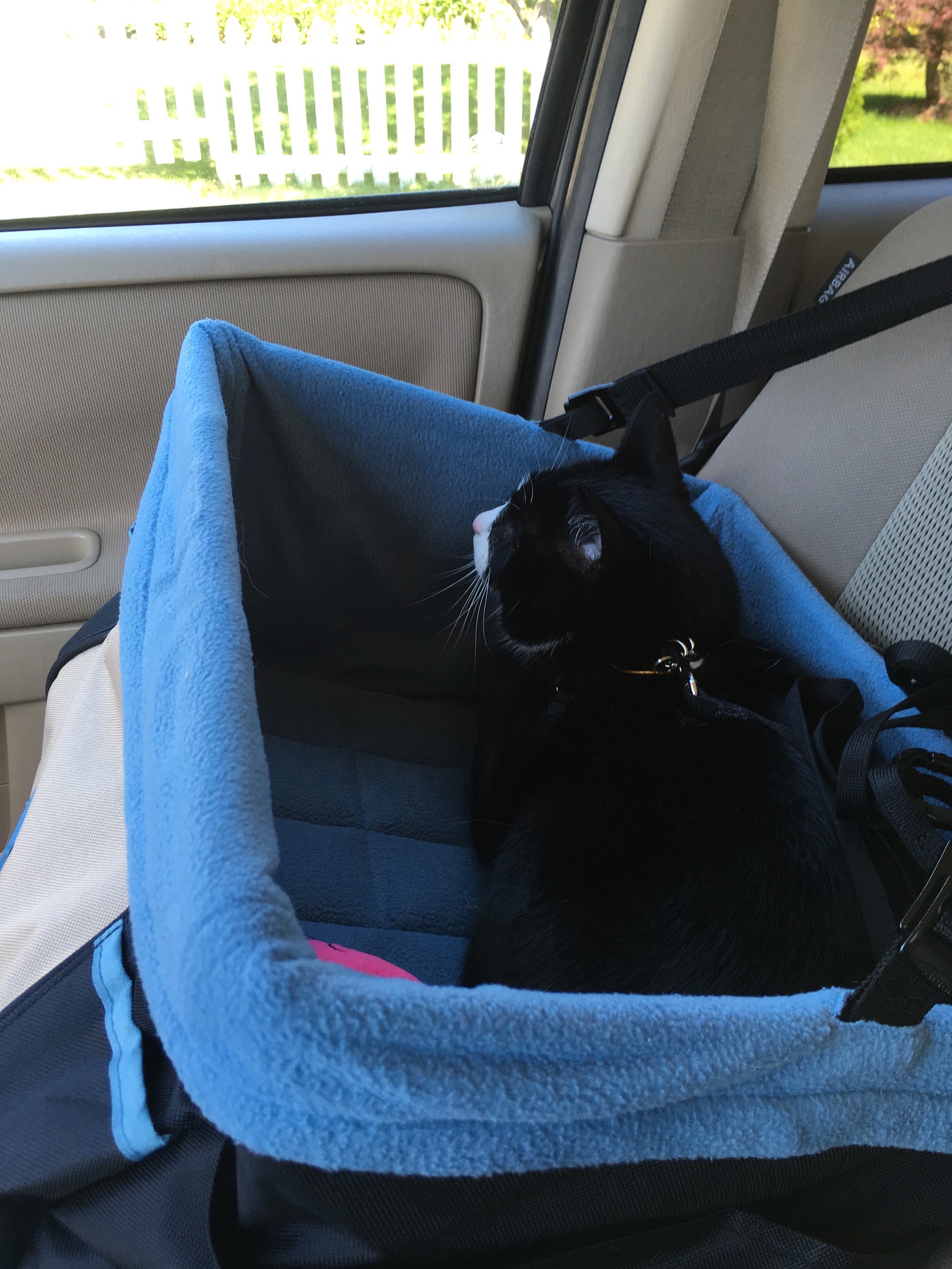 01213099bf40460ff7866c1deb3364b9edcaa41016