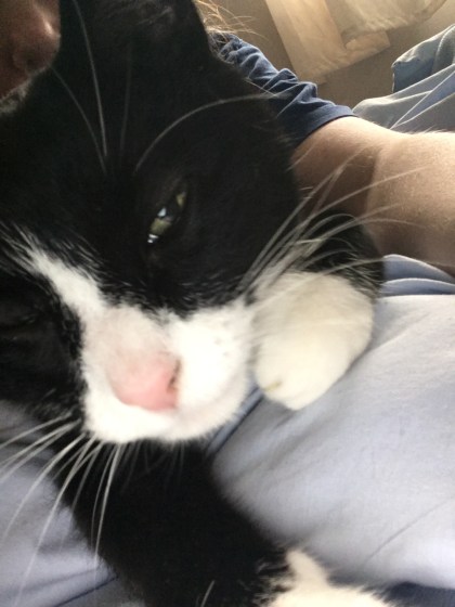 018402733bcb7d6db82c3c4ea6d60c3c9e23287ef7