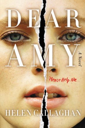 dear amy book