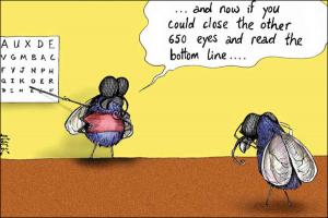 fruit fly 3
