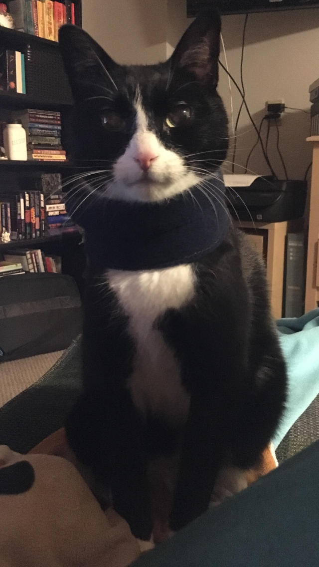 striker in a scarf