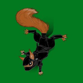ninja squirrel