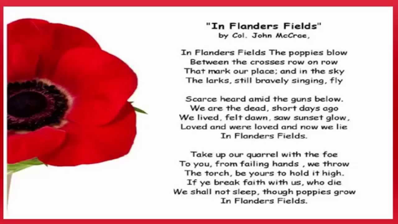 flanders field