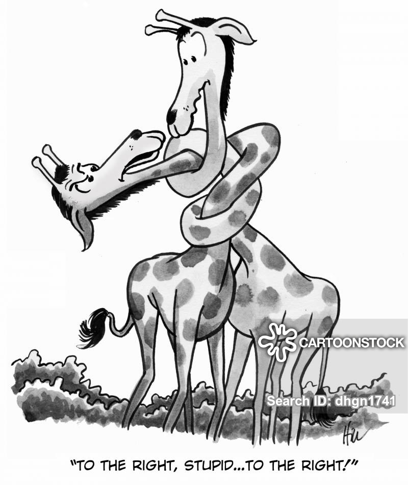 "To the right, stupid. . . to the right!"